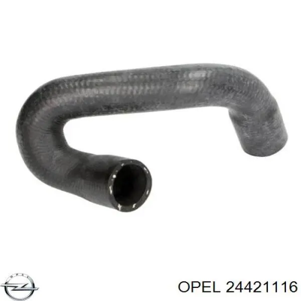 Купити 24421116 Opel Шланг/патрубок радіатора охолодження, верхній