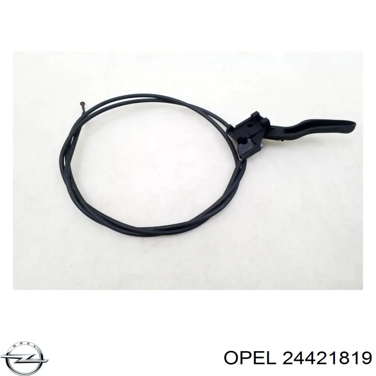 24421819 Opel 