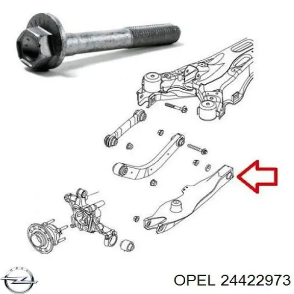 24422973 Opel Болт кріплення заднього розвального важеля, внутрішній