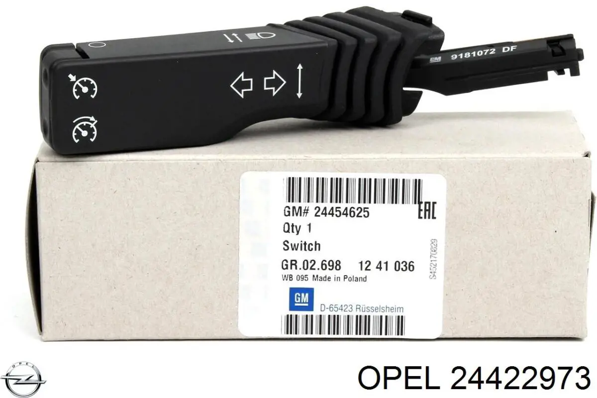 24422973 Opel Болт кріплення заднього розвального важеля, внутрішній