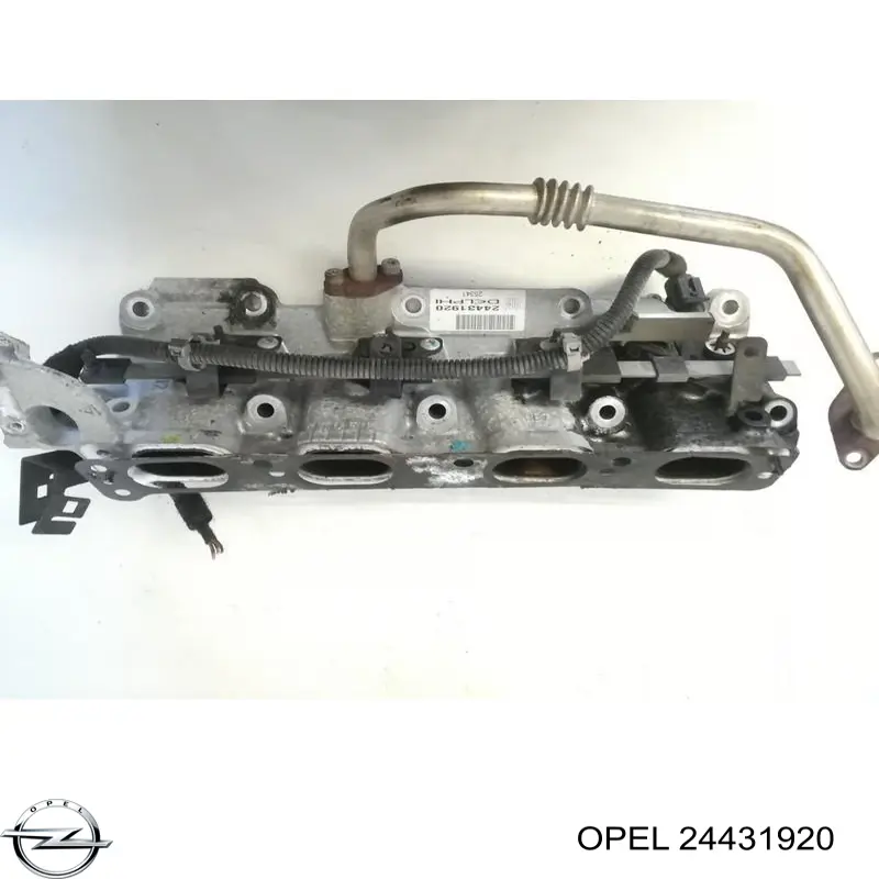 24431920 Opel Колектор впускний