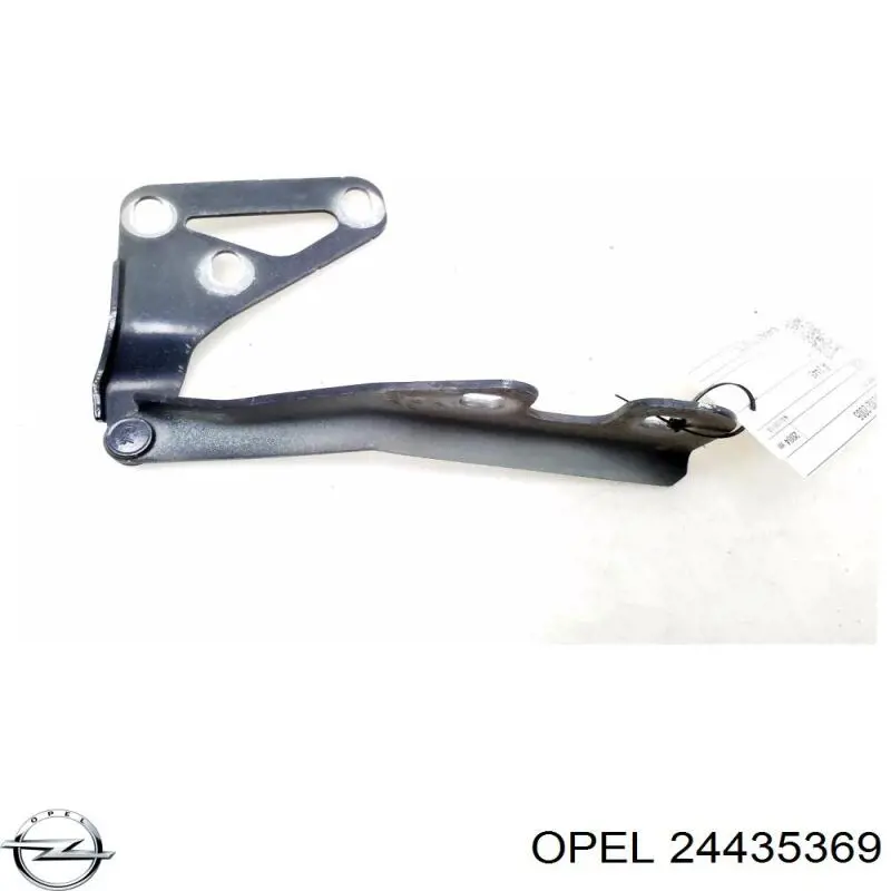 24435369 Opel Завіс капота, правий