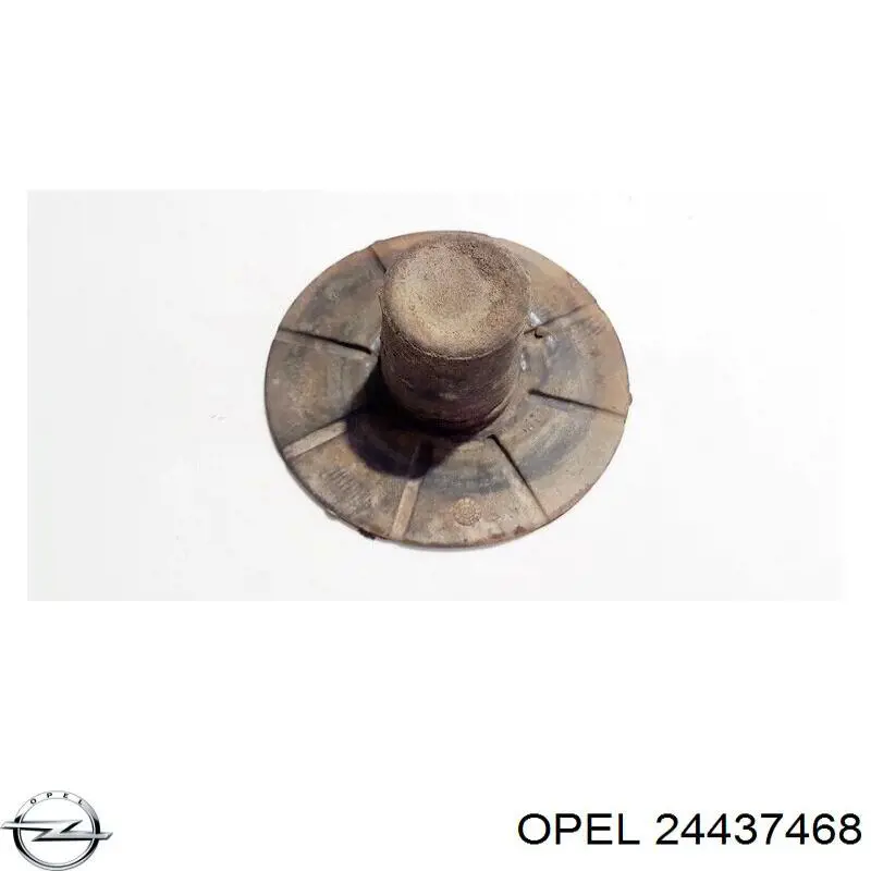 Купити 24437468 Opel 