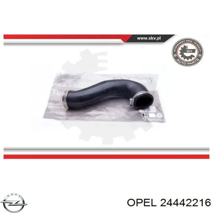 Купити 24442216 Opel Шланг/патрубок интеркуллера