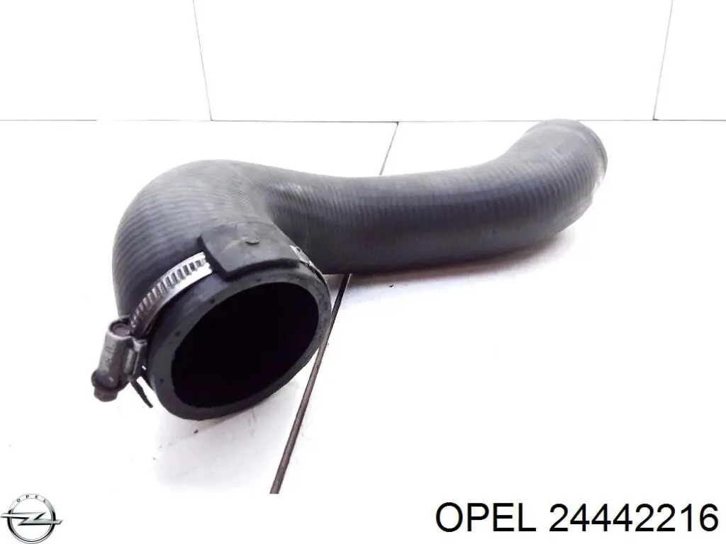 Шланг/патрубок інтеркуллера Opel 24442216 ціна, від 12.97 USD
