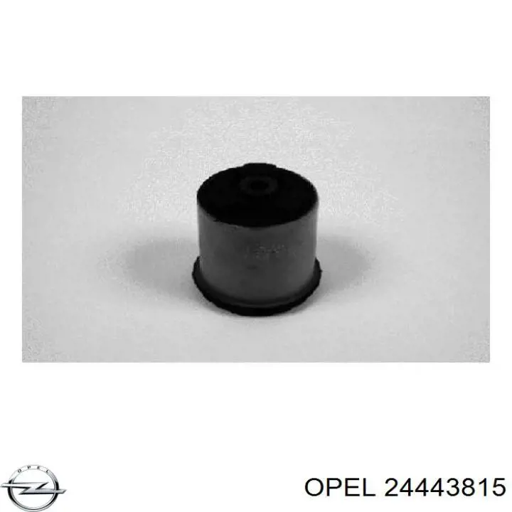 Купити 24443815 Opel Сайлентблок задньої балки