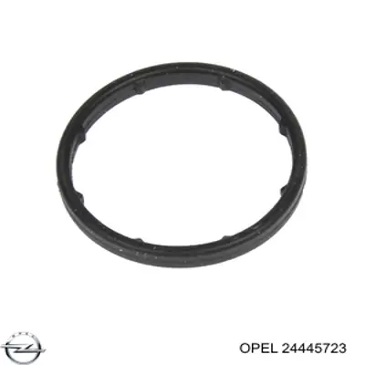 Прокладка корпусу термостата Opel 24445723 ціна, від 5.03 USD