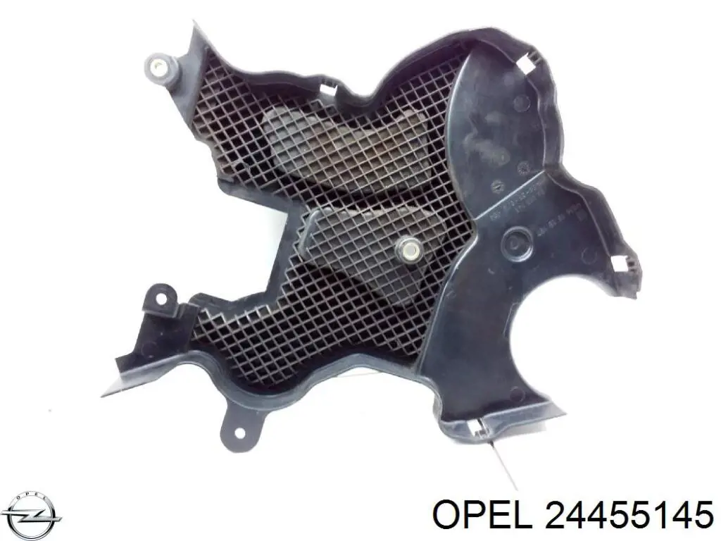 Купити 24455145 Opel 