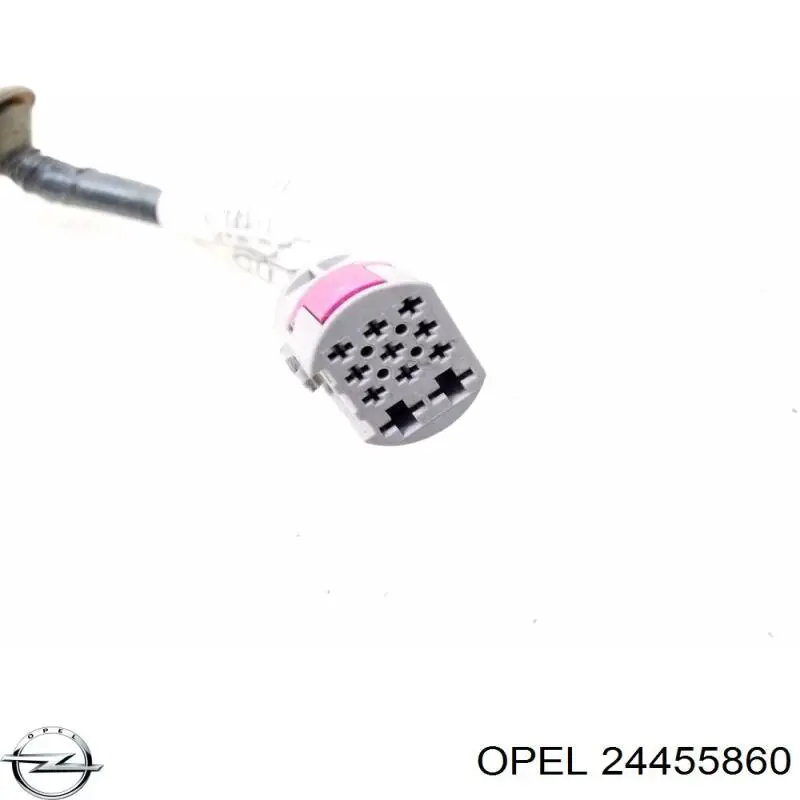 24455860 Opel 