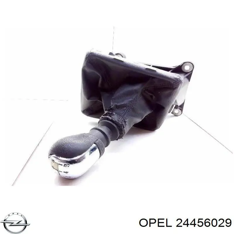 24456029 Opel 