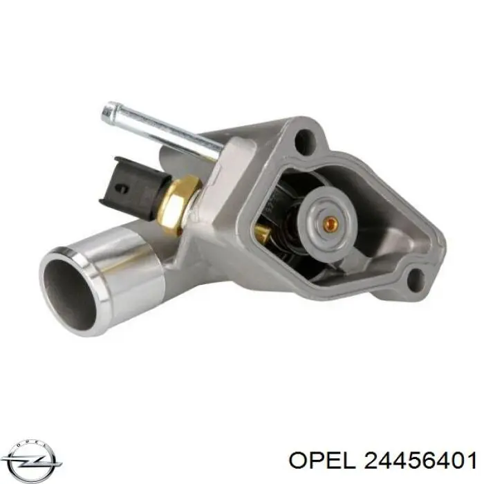 Купити 24456401 Opel Корпус термостата