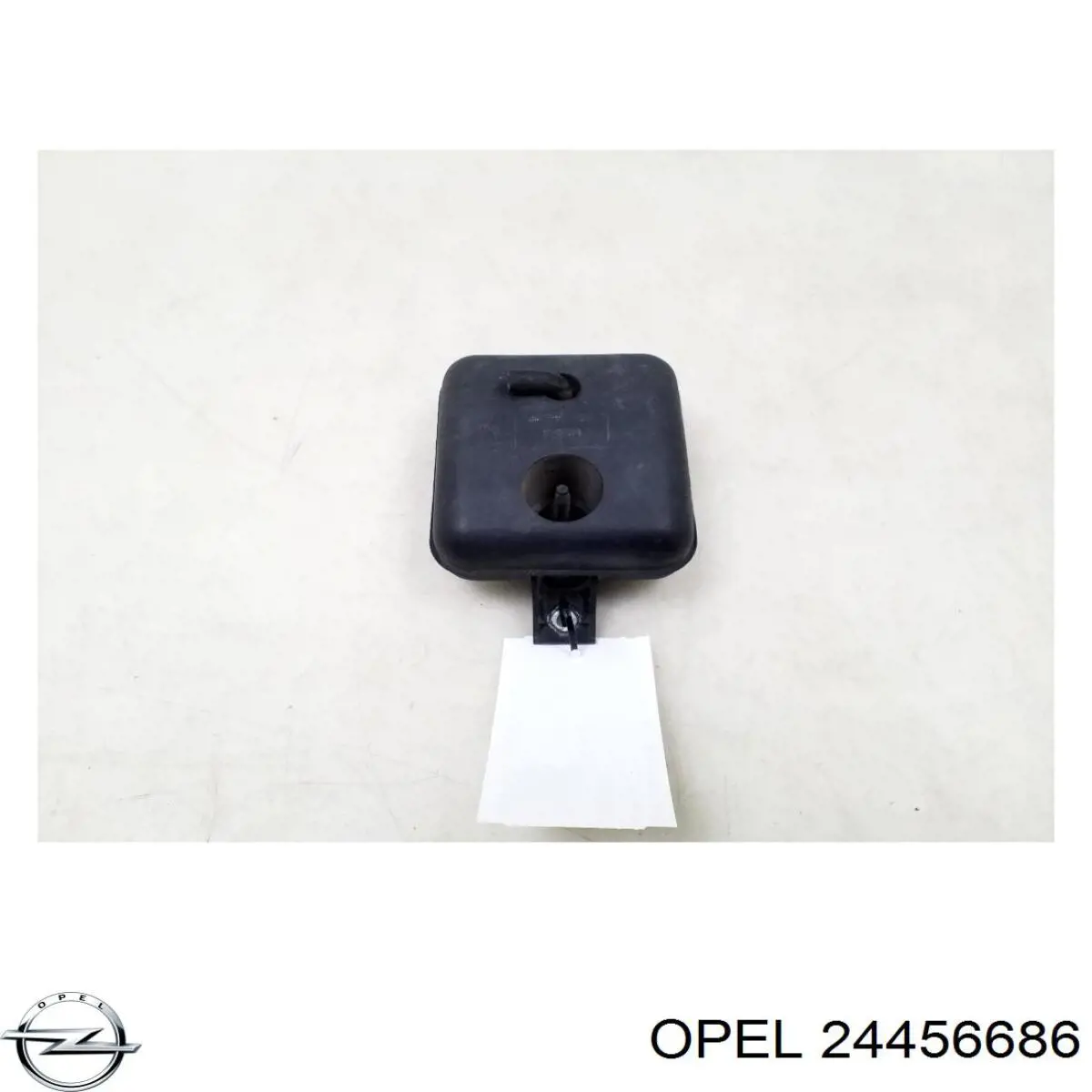 24456686 Opel 