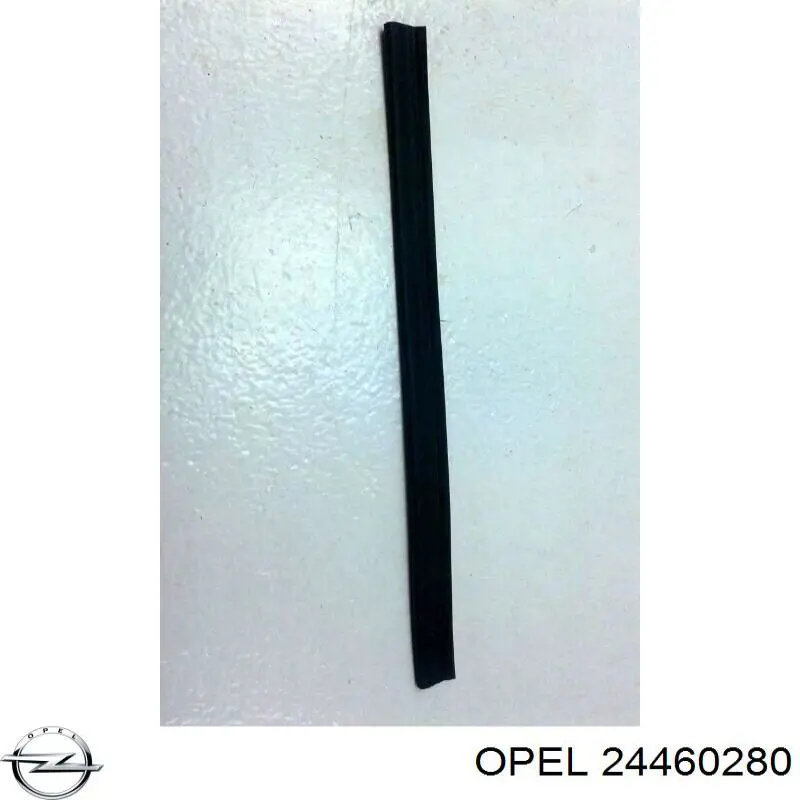 Купити 24460280 Opel 