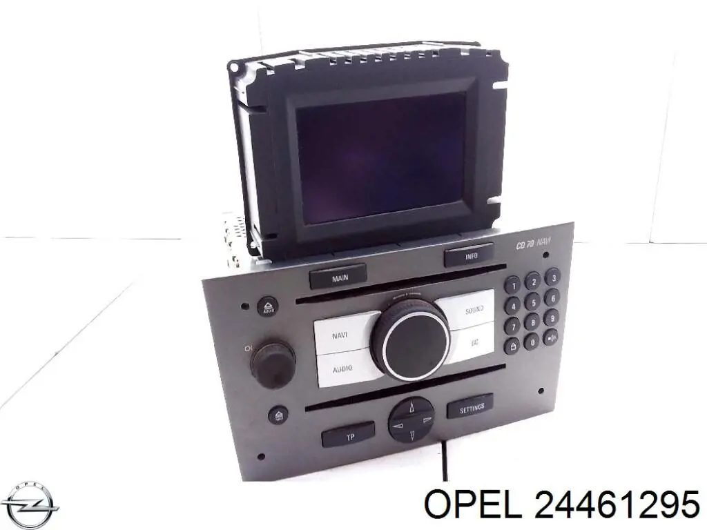 Купити 24461295 Opel 