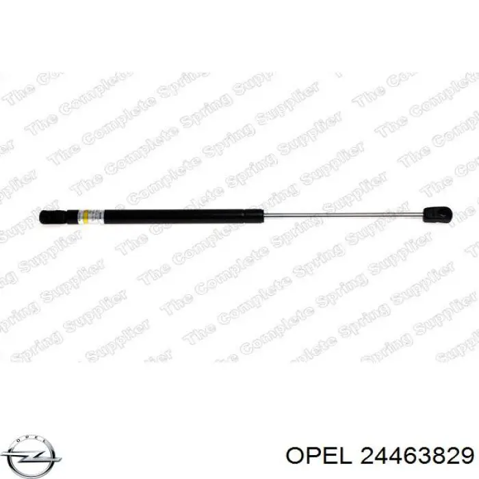 Амортизатор двері задньої Opel 24463829 ціна, від 7.61 USD