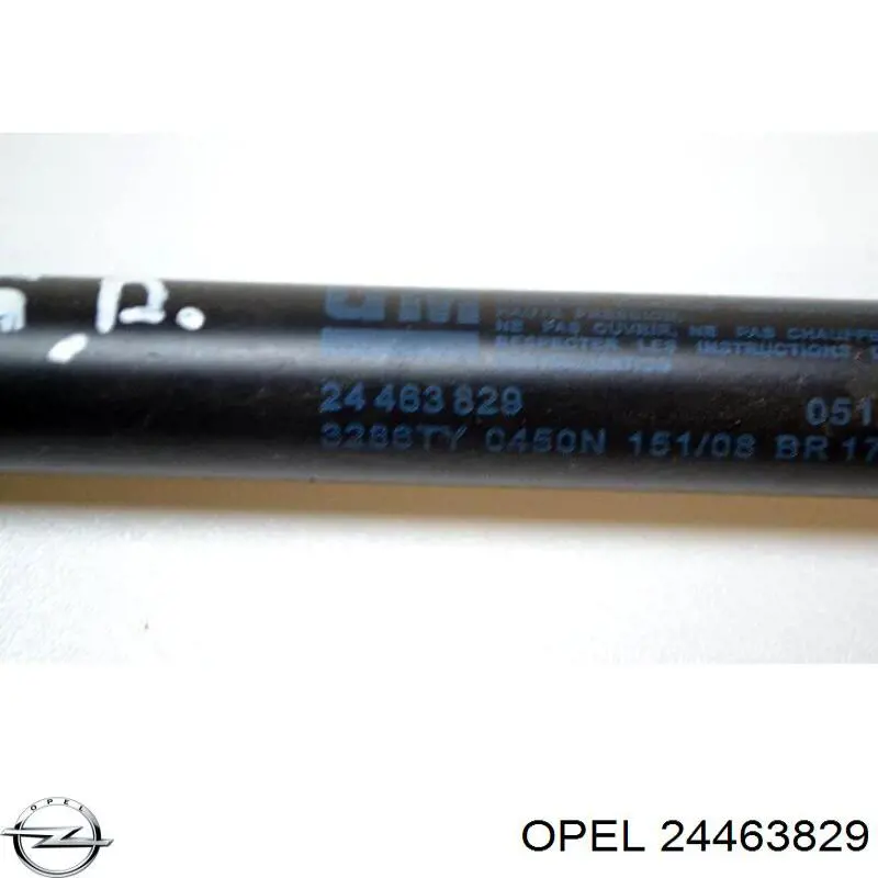 Купити 24463829 Opel Амортизатор двері багажника
