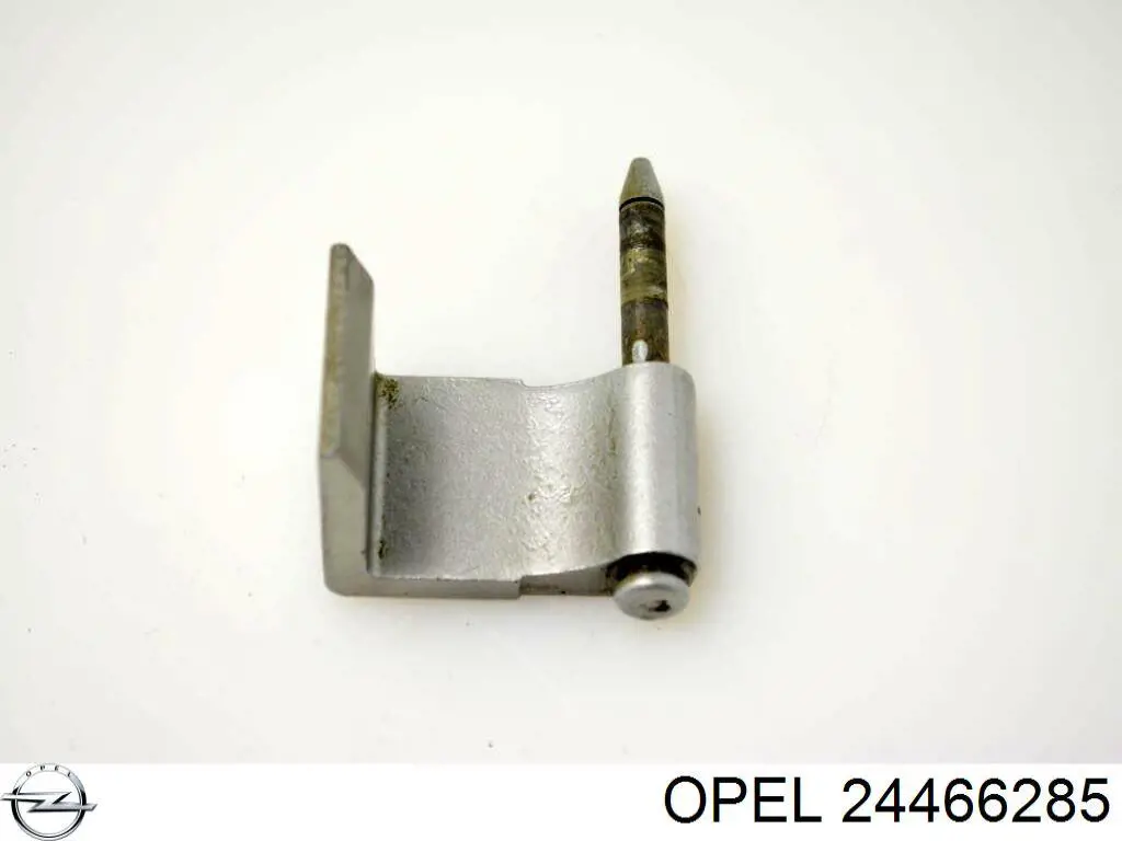 Купити 24466285 Opel Завіса задніх дверей, ляди