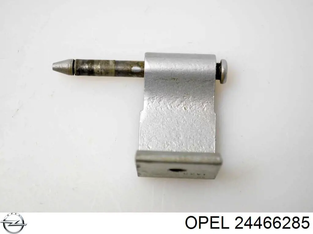 Петля задньої багажної, 3/5 -ої двері 24466285 General Motors