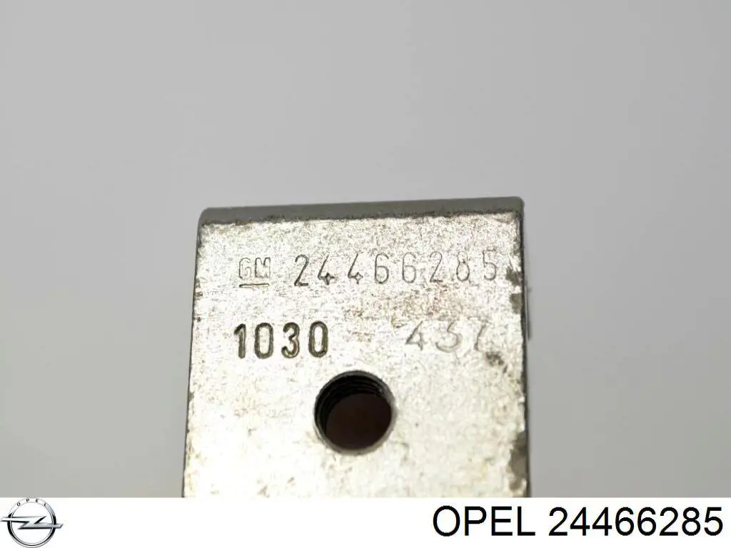 Петля третіх/п'ятих дверей Opel 24466285 ціна, від 42.94 USD