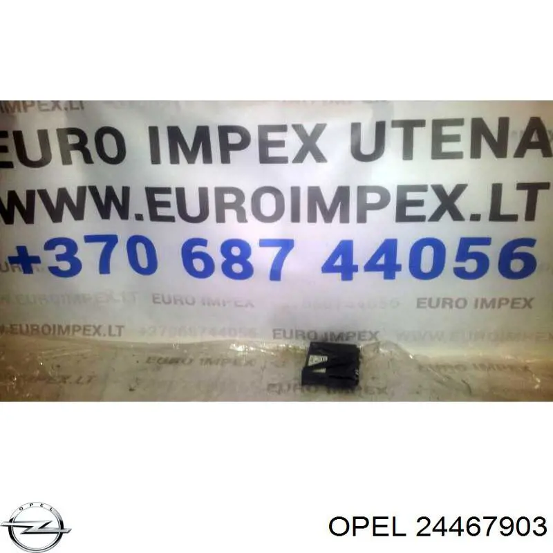 Купити 24467903 Opel 