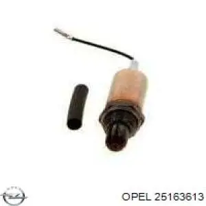 Лямбдазонд, датчик кисню до каталізатора 25163613 Opel