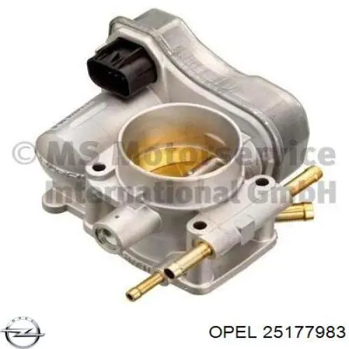 Купити 25177983 Opel Дросільна заслінка