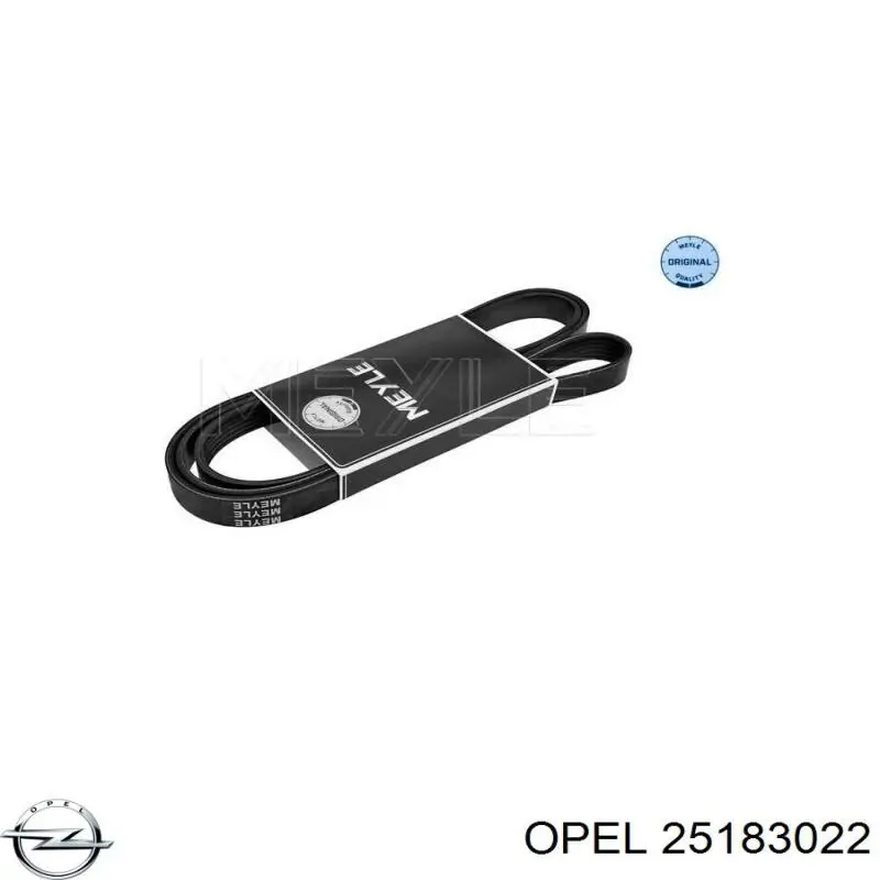 Клиновий ремінь Opel 25183022 ціна, від 15.85 USD