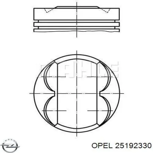 623596 Opel поршень в комплекті на 1 циліндр, std