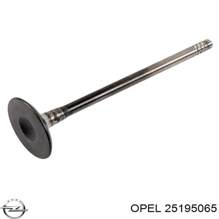 Купити 25195065 Opel Поршень в комплекті на 1 циліндр, STD