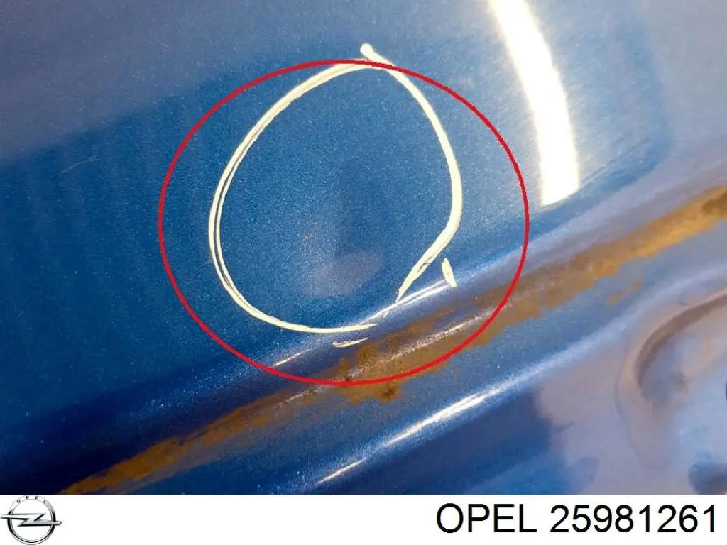 Купити 25981261 Opel Задня ляда