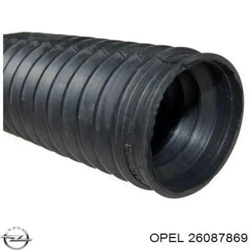 Купити 26087869 Opel Пильник тяги