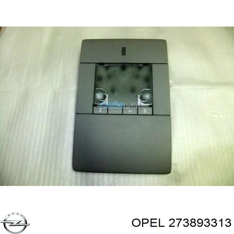 273893313 Opel 