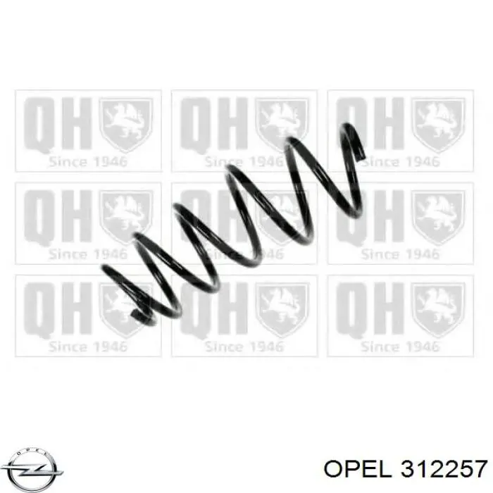 312257 Opel пружина передня