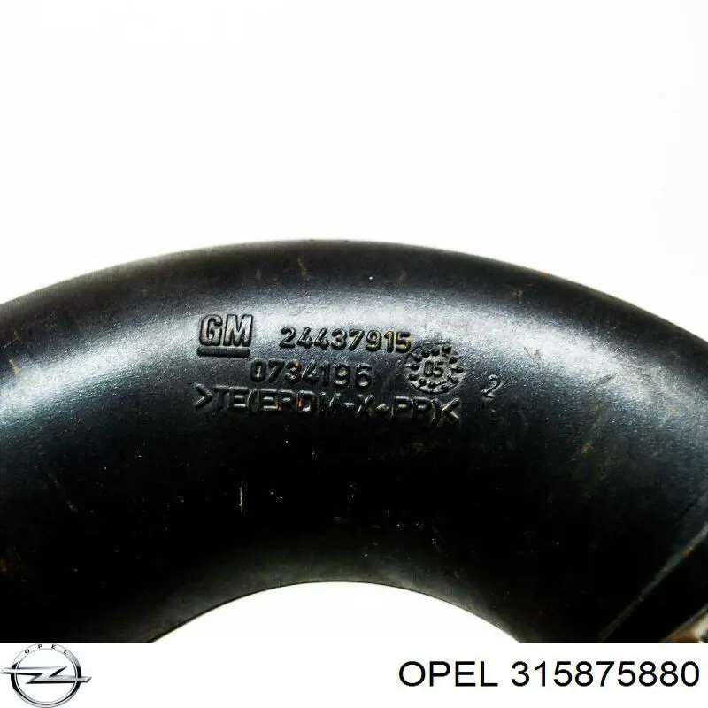 Купити 315875880 Opel 