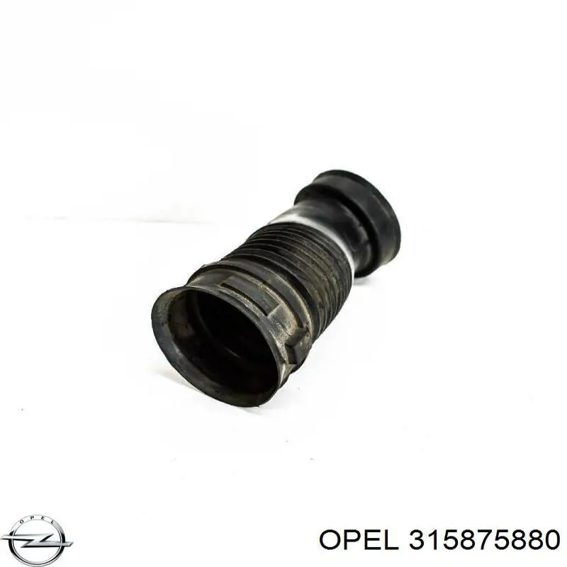  Opel 315875880 ціна, від 5.43 USD