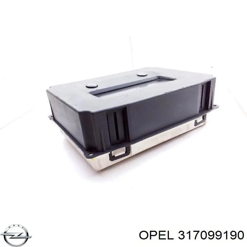  317099190 Opel