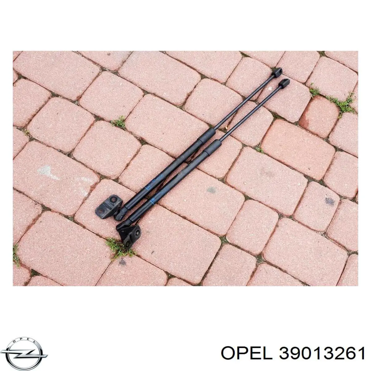  Opel 39013261 ціна, від 14.08 USD