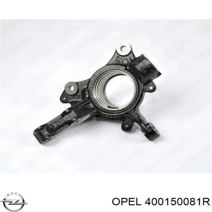 Цапфа - поворотний кулак передній, лівий 400151061R Renault (RVI)