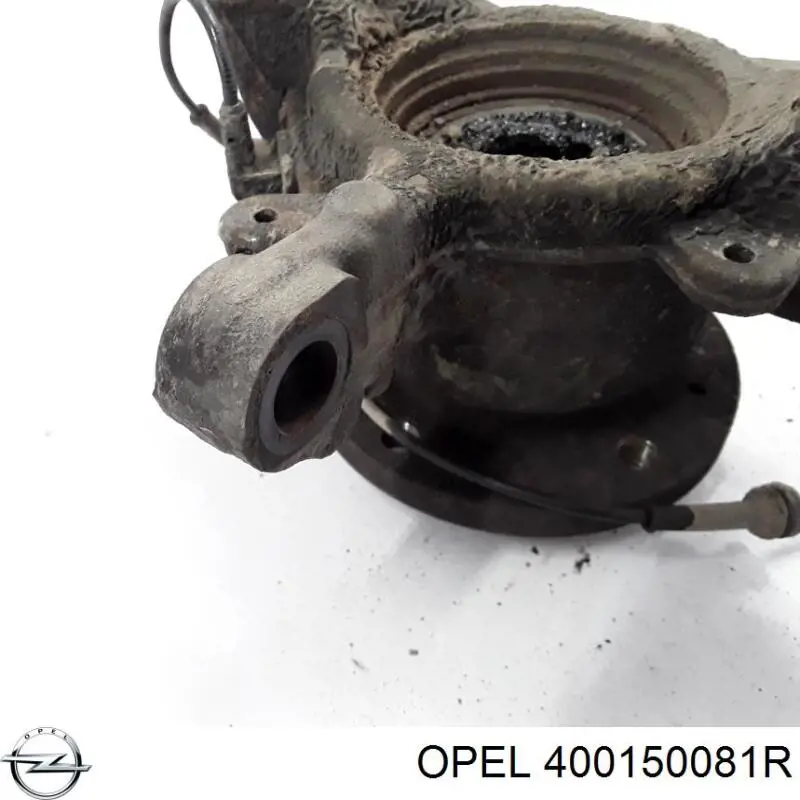 Цапфа поворотна ліва Renault (RVI) 400151061R ціна, від 63.70 USD