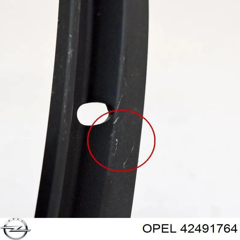 Купити 42491764 Opel 