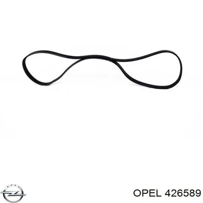 426589 Opel Підсилювач гальм вакуумний