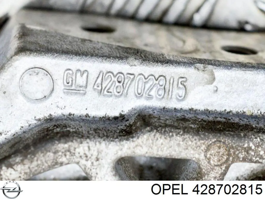 Купити 428702815 Opel 