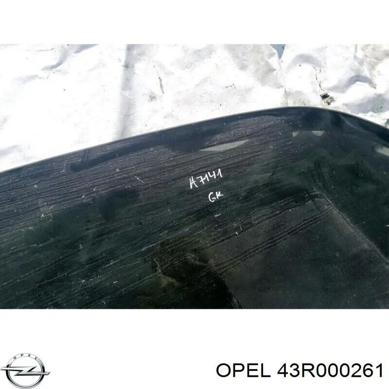 Купити 43R000261 VAG 