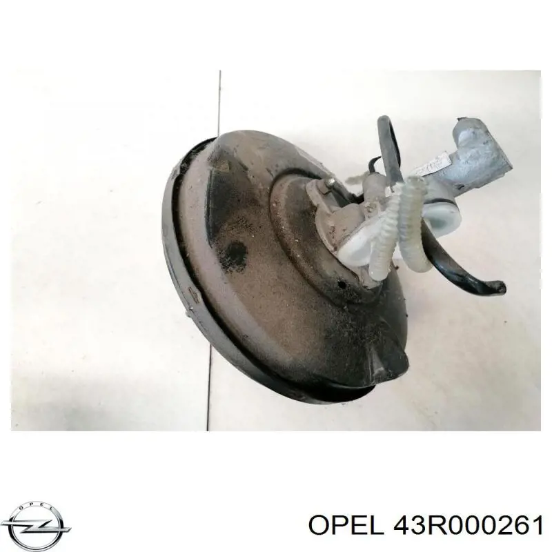43R000261 VAG 