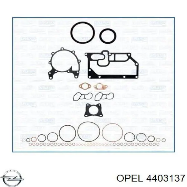 7701040011 Renault (RVI) Прокладка під головку