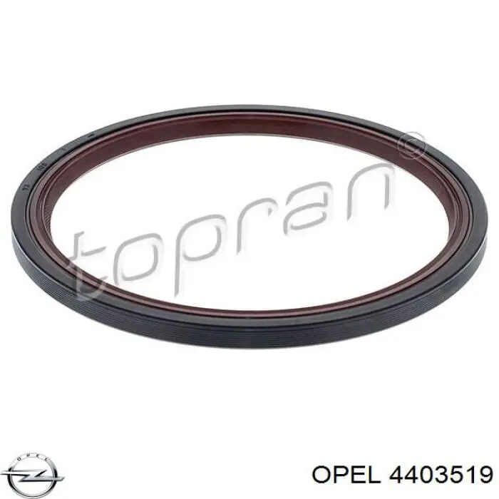  4403519 Opel