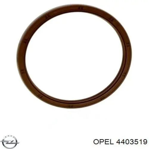Сальник колінвала двигуна, задній Opel 4403519 ціна, від 15.27 USD