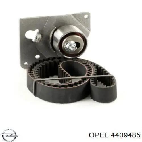Ремкомплект ГРМ Opel 4409485