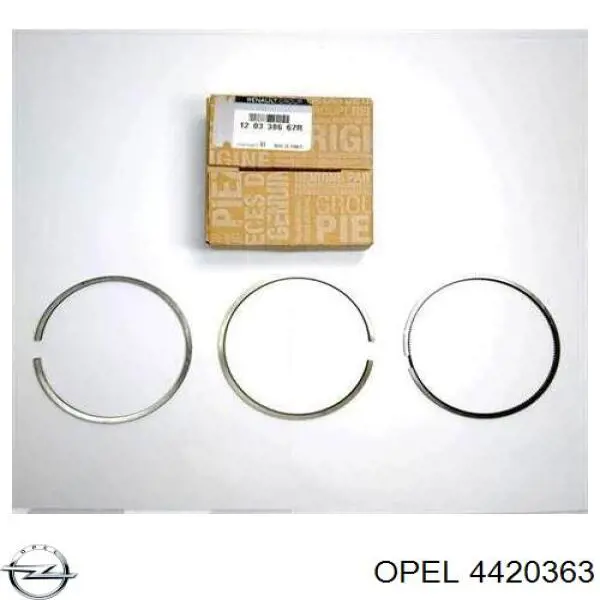 Кільця поршневі на 1 циліндр, STD. Opel Movano B (X62) (Опель Мовано)