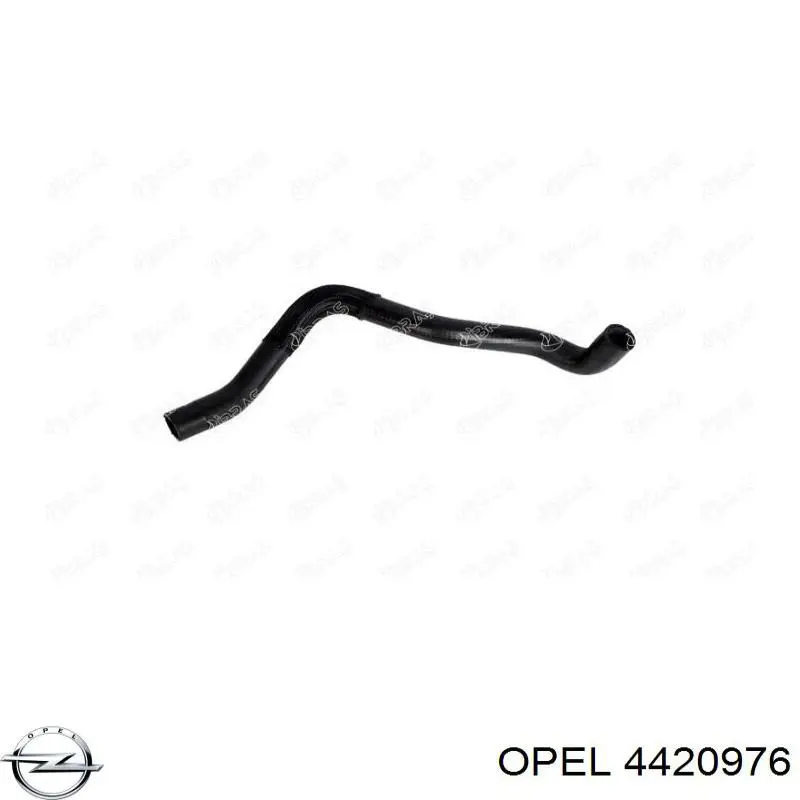 Купити 4420976 Opel Шланг/патрубок радіатора охолодження, нижній